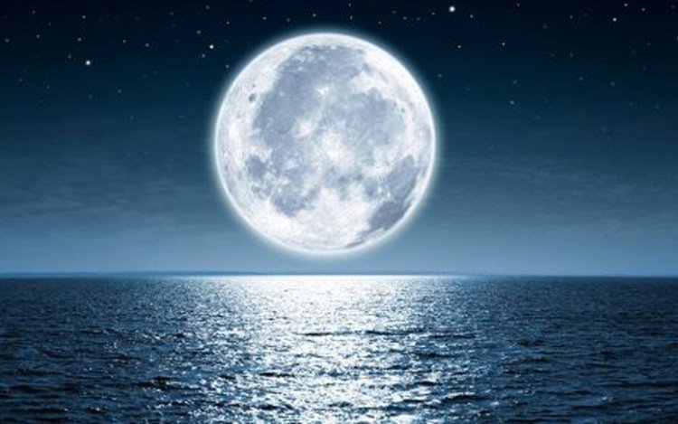Lee más sobre el artículo La Luna así como la Mujer, Rafael Bravo